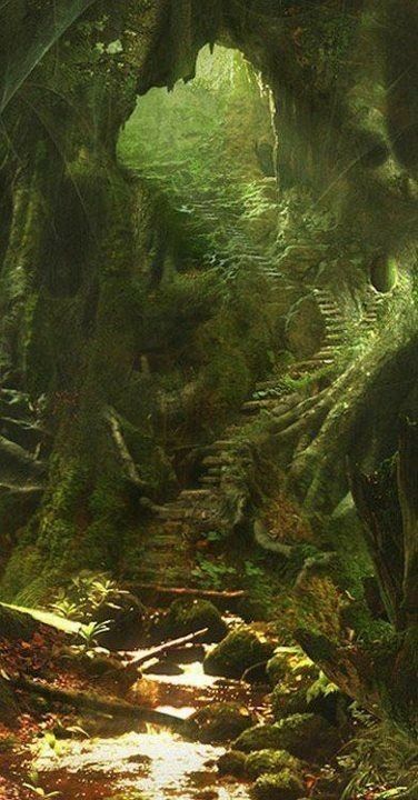 411ad36dbdfbfa8ad8731ff680905d2f