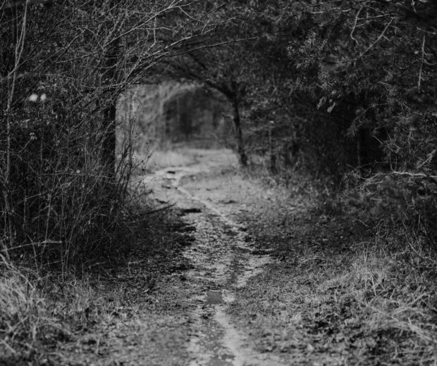 scott-broome-K8eqfKBkE-s-unsplash