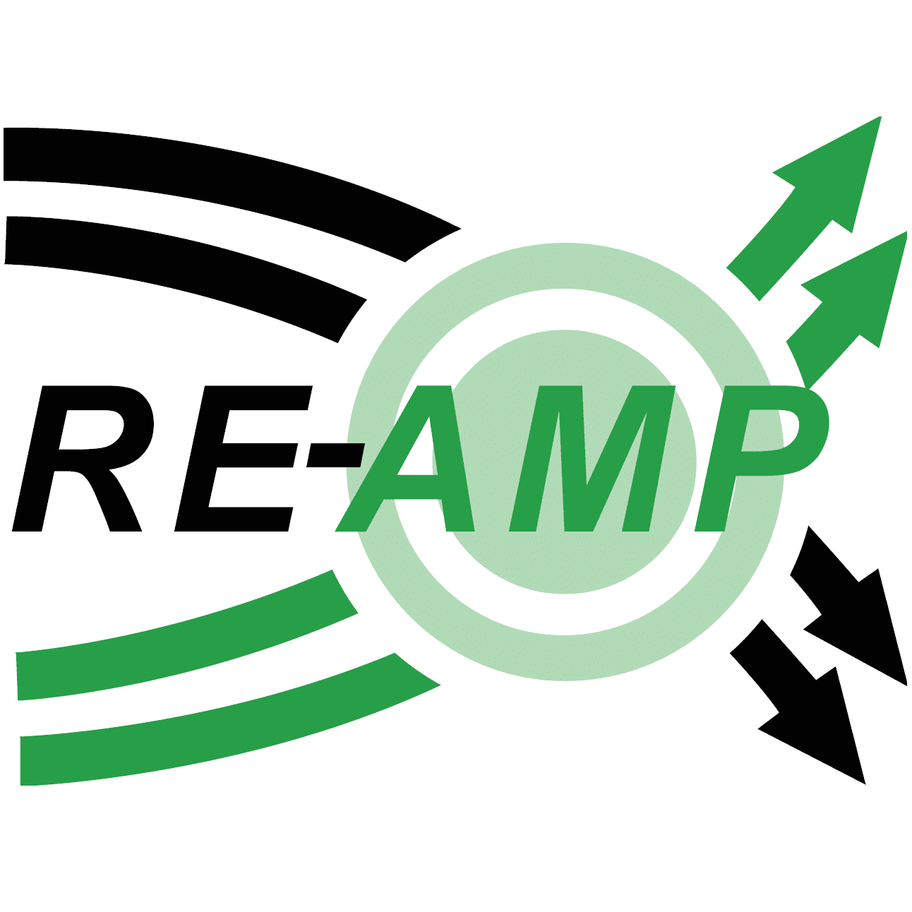 RE-AMP